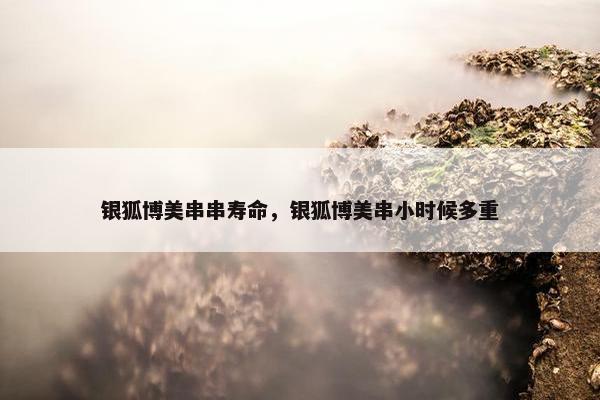 银狐博美串串寿命，银狐博美串小时候多重