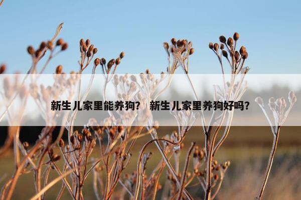 新生儿家里能养狗？ 新生儿家里养狗好吗？