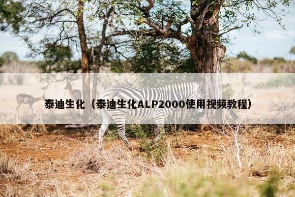 泰迪生化（泰迪生化ALP2000使用视频教程）