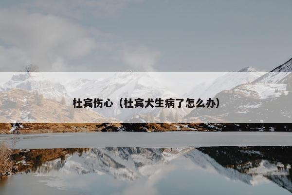 杜宾伤心（杜宾犬生病了怎么办）