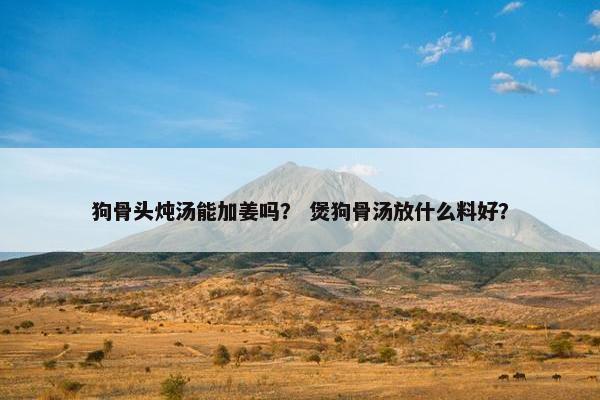 狗骨头炖汤能加姜吗？ 煲狗骨汤放什么料好？