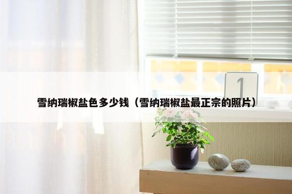 雪纳瑞椒盐色多少钱（雪纳瑞椒盐最正宗的照片）