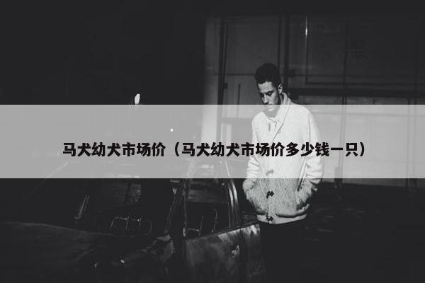 马犬幼犬市场价（马犬幼犬市场价多少钱一只）