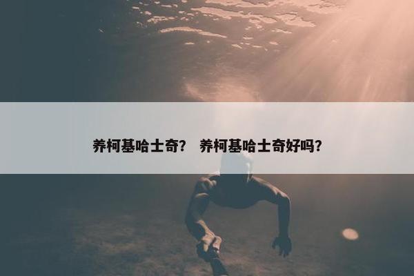 养柯基哈士奇？ 养柯基哈士奇好吗？