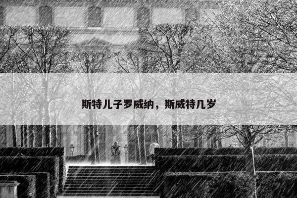 斯特儿子罗威纳，斯威特几岁