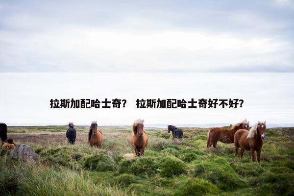 拉斯加配哈士奇？ 拉斯加配哈士奇好不好？