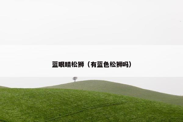 蓝眼睛松狮（有蓝色松狮吗）