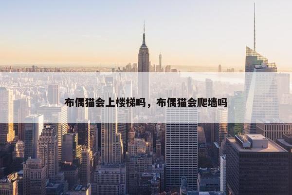 布偶猫会上楼梯吗，布偶猫会爬墙吗