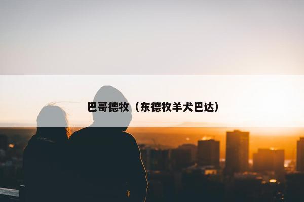 巴哥德牧（东德牧羊犬巴达）