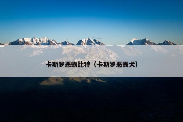 卡斯罗恶霸比特（卡斯罗恶霸犬）