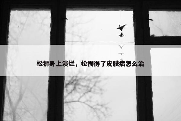 松狮身上溃烂，松狮得了皮肤病怎么治