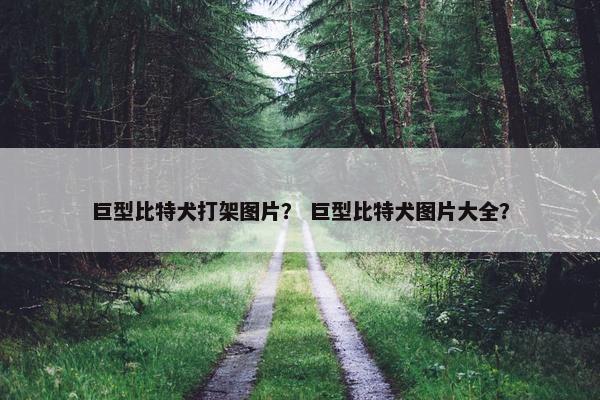 巨型比特犬打架图片？ 巨型比特犬图片大全？