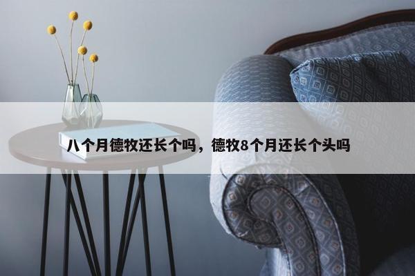 八个月德牧还长个吗，德牧8个月还长个头吗