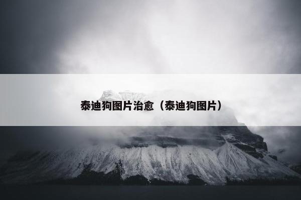 泰迪狗 第10页