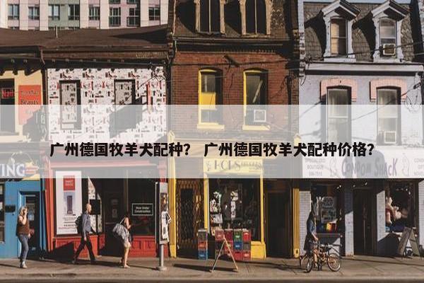 广州德国牧羊犬配种？ 广州德国牧羊犬配种价格？