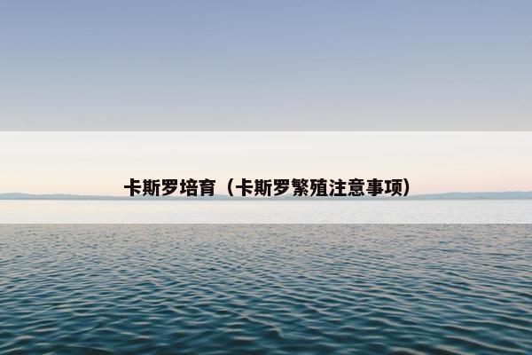卡斯罗培育（卡斯罗繁殖注意事项）