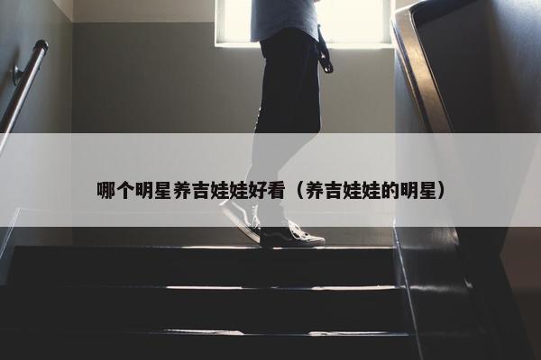 哪个明星养吉娃娃好看（养吉娃娃的明星）