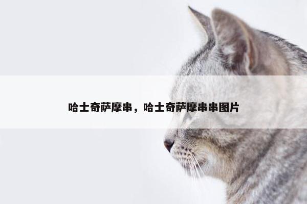 哈士奇萨摩串，哈士奇萨摩串串图片