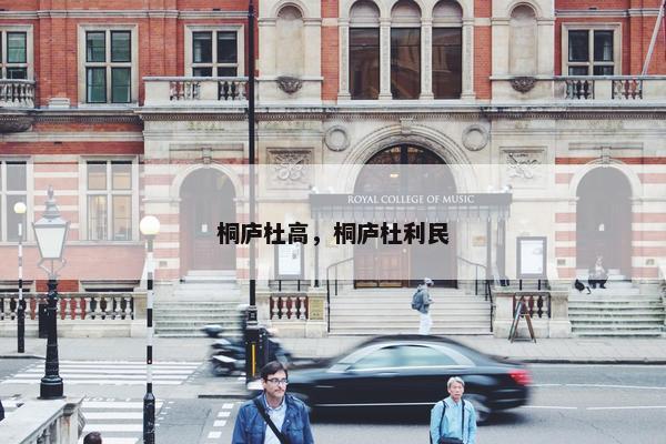 桐庐杜高，桐庐杜利民