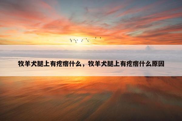 牧羊犬腿上有疙瘩什么，牧羊犬腿上有疙瘩什么原因