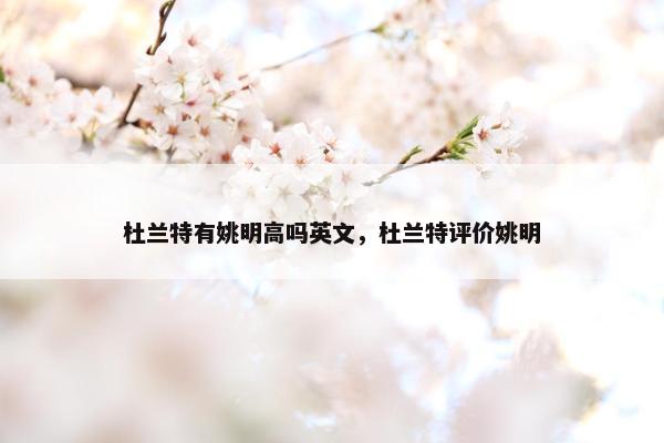 杜兰特有姚明高吗英文，杜兰特评价姚明