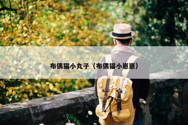 布偶猫小丸子（布偶猫小崽崽）