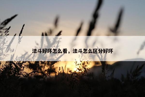 法斗好坏怎么看，法斗怎么区分好坏