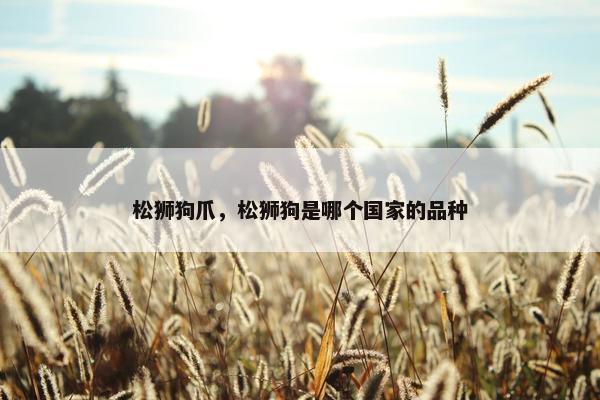 松狮狗爪，松狮狗是哪个国家的品种