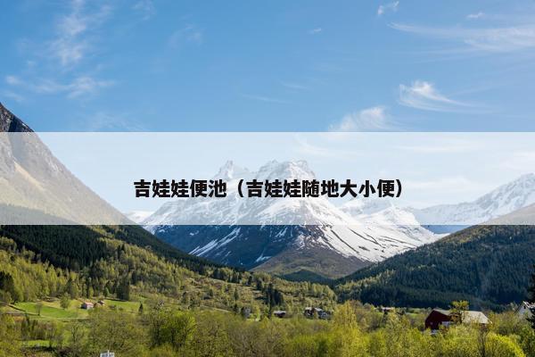 吉娃娃便池（吉娃娃随地大小便）