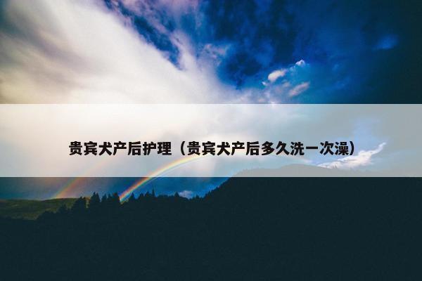 贵宾犬产后护理（贵宾犬产后多久洗一次澡）