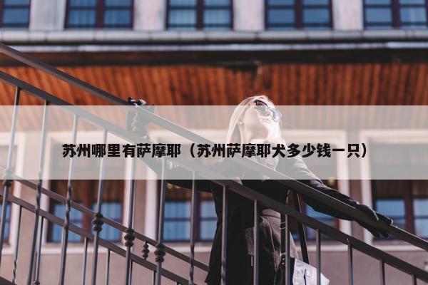苏州哪里有萨摩耶（苏州萨摩耶犬多少钱一只）