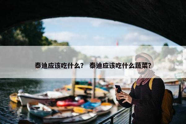 泰迪应该吃什么？ 泰迪应该吃什么蔬菜？