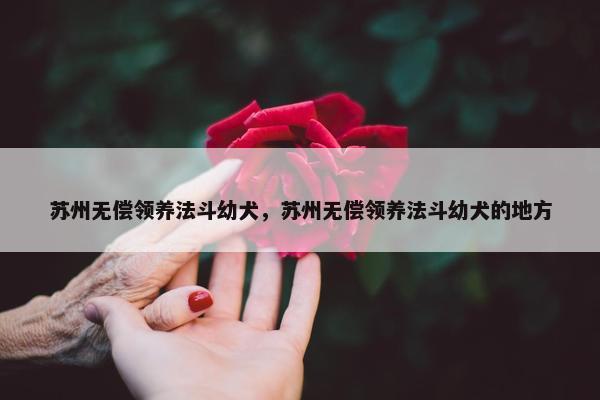 苏州无偿领养法斗幼犬，苏州无偿领养法斗幼犬的地方