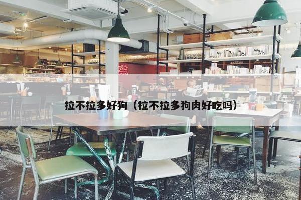 拉不拉多好狗（拉不拉多狗肉好吃吗）
