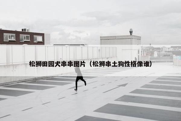 松狮田园犬串串图片（松狮串土狗性格像谁）