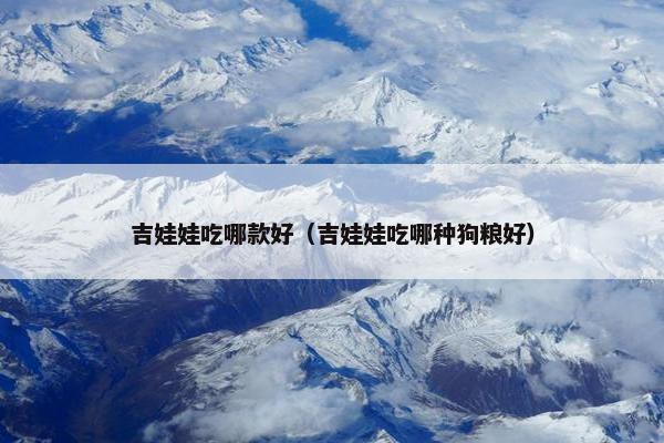 吉娃娃吃哪款好（吉娃娃吃哪种狗粮好）