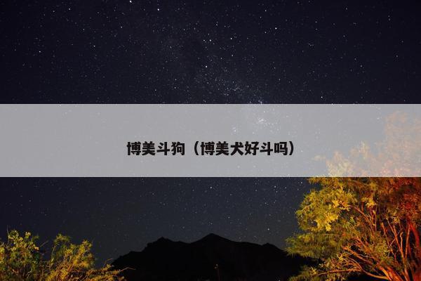 博美斗狗（博美犬好斗吗）