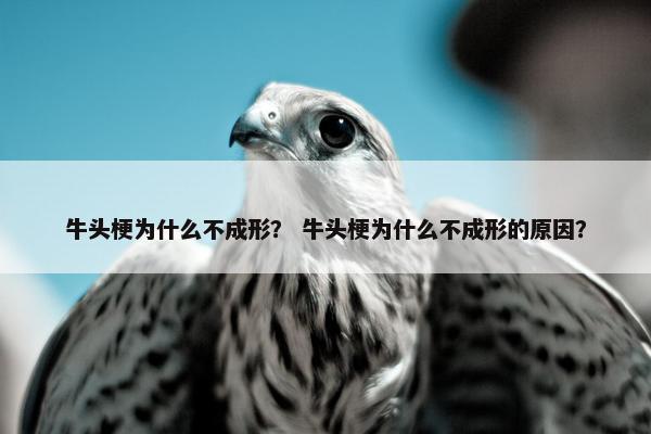 牛头梗为什么不成形？ 牛头梗为什么不成形的原因？
