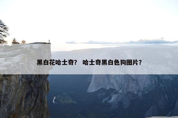 黑白花哈士奇？ 哈士奇黑白色狗图片？