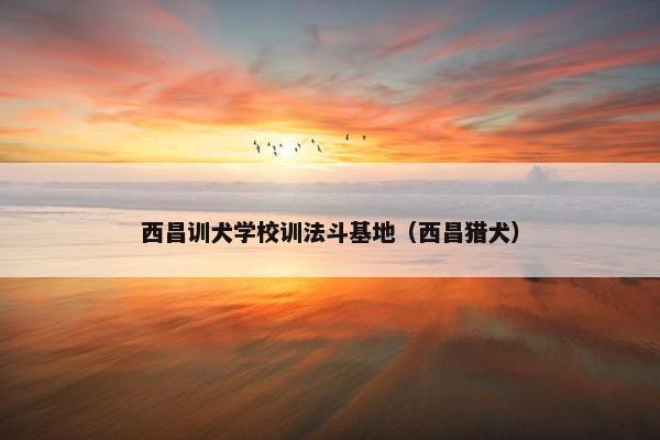 西昌训犬学校训法斗基地（西昌猎犬）
