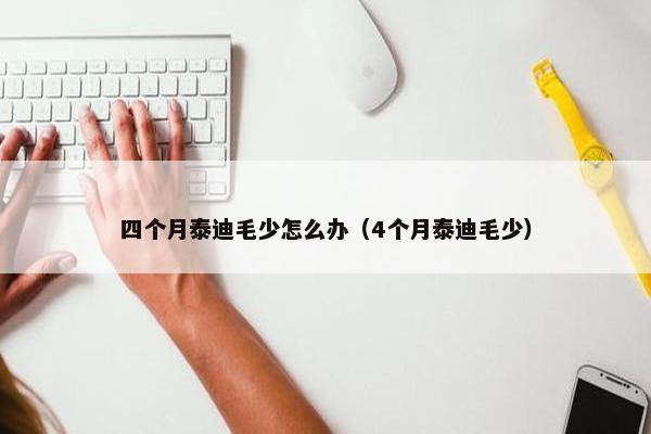 四个月泰迪毛少怎么办（4个月泰迪毛少）