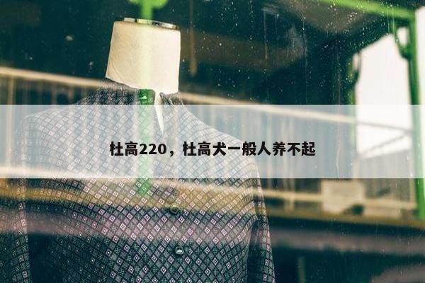 杜高220，杜高犬一般人养不起