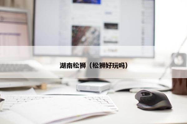湖南松狮（松狮好玩吗）