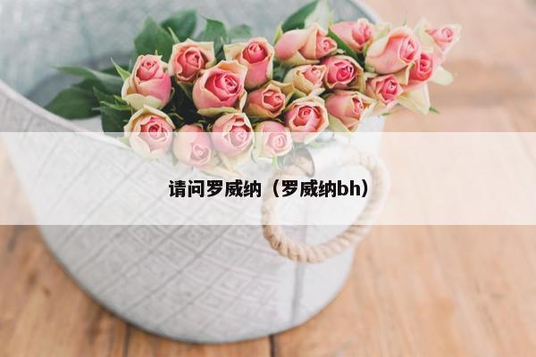 请问罗威纳（罗威纳bh）