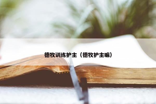 德牧训练护主（德牧护主嘛）