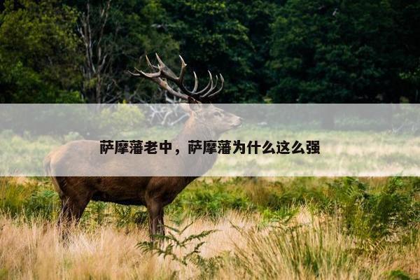 萨摩藩老中，萨摩藩为什么这么强