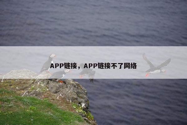 APP链接，APP链接不了网络