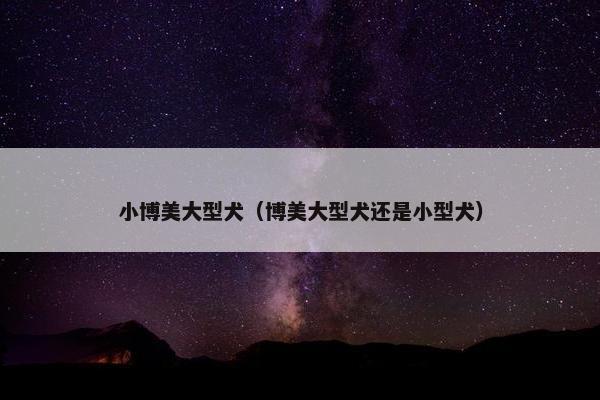 小博美大型犬（博美大型犬还是小型犬）