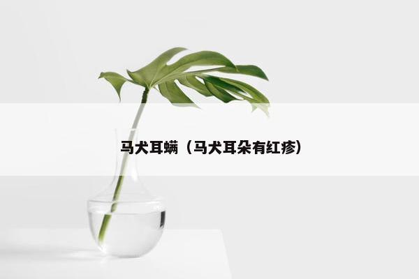马犬耳螨（马犬耳朵有红疹）