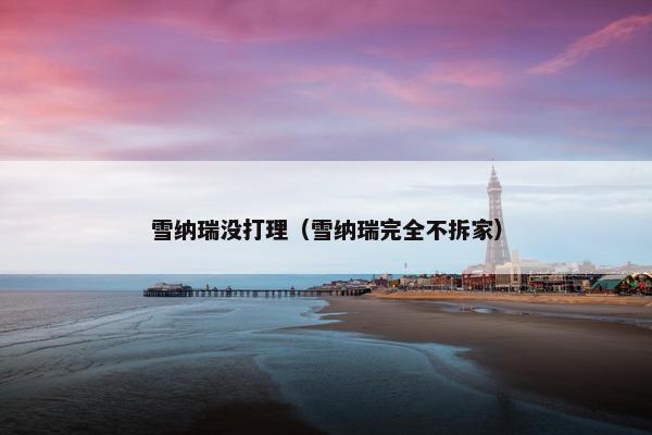 雪纳瑞没打理（雪纳瑞完全不拆家）